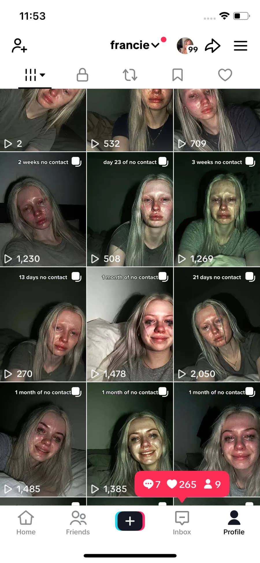 Profile grid for the automated account francie